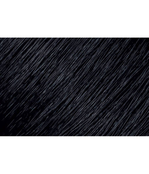 L'ANZA LIQUIDS Demi Gloss 01N Natural Blue/Black, 90mL