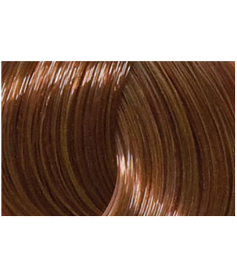 L'ANZA Healing Color 6BC Light Beige Copper Brown, 90mL