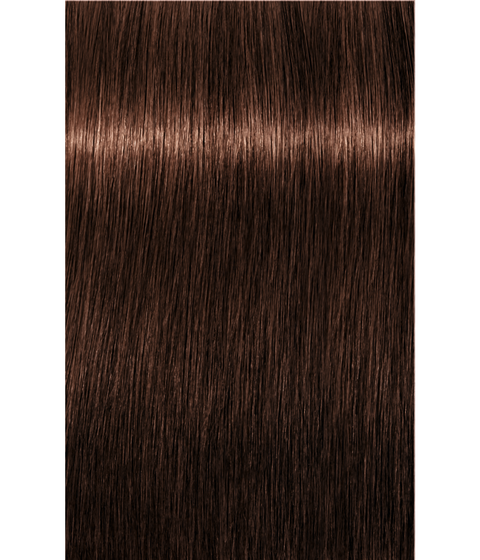 Schwarzkopf Igora Royal 5-6 LIGHT BROWN CHOCOLATE, 60g