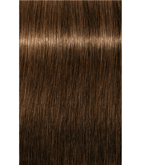 Schwarzkopf Igora Royal 6-5 DARK BLONDE GOLD, 60g