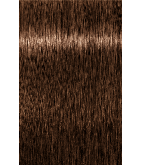 Schwarzkopf Igora Royal 6-65 DARK BLONDE CHOCOLATE GOLD, 60g