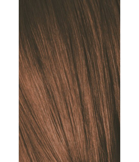 Schwarzkopf Igora Color10 6-65 DARK BLONDE CHOCOLATE GOLD, 60g