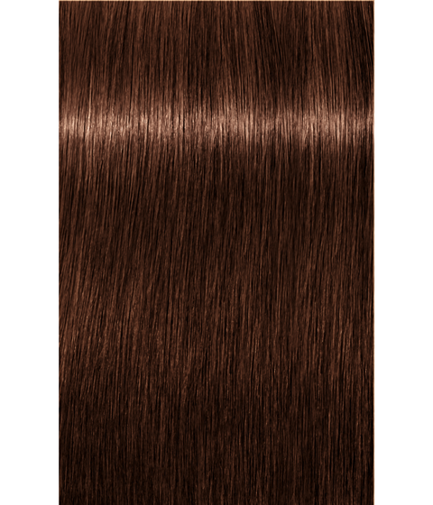 Schwarzkopf Igora Royal 6-68 DARK BLONDE CHOCOLATE RED, 60g