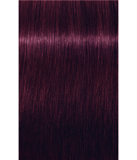 Schwarzkopf Igora Royal 6-99 DARK BLONDE VIOLET EXTRA, 60g