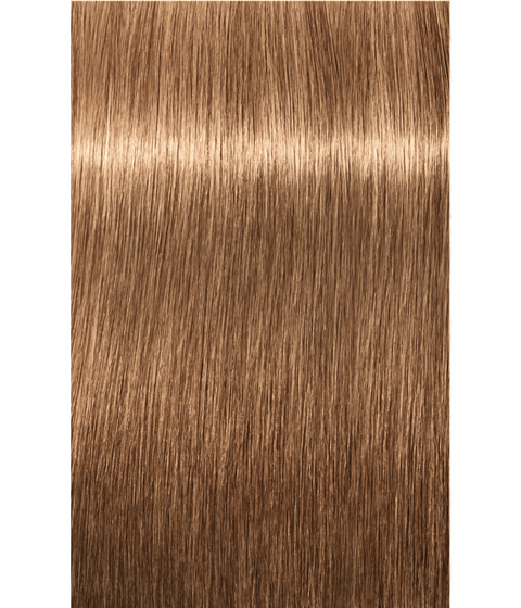 Schwarzkopf Igora Royal 8-65 LIGHT BLONDE CHOCOLATE GOLD, 60g