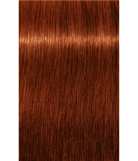 Schwarzkopf Igora Royal 6-77 DARK BLONDE COPPER EXTRA, 60g