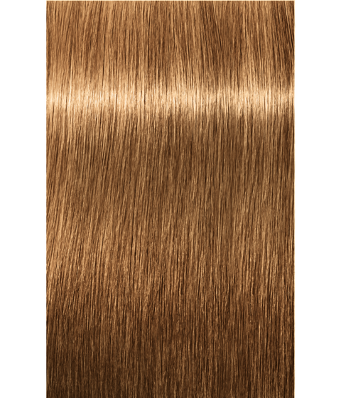 Schwarzkopf Igora Royal 8-55 LIGHT BLONDE GOLD EXTRA, 60g