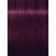 Schwarzkopf Igora Vibrance 6-99 DARK BLONDE VIOLET EXTRA, 60g