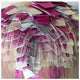 Framar 5 x 11 Magenta Pop Up Hair Foil 500 Sheets