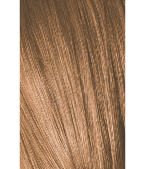 Schwarzkopf Igora Color10 8-65 LIGHT BLONDE CHOCOLATE GOLD, 60g