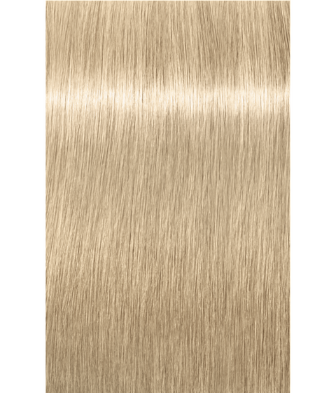 Schwarzkopf Igora Royal Highlifts 12-1 SPECIAL BLONDE CENDRE, 60g