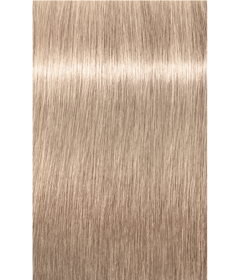 Schwarzkopf Igora Royal Highlifts 12-19 SPECIAL BLONDE CENDRE VIOLET, 60g