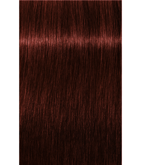 Schwarzkopf Igora Royal Absolutes 5-80 LIGHT BROWN RED NATURAL, 60g