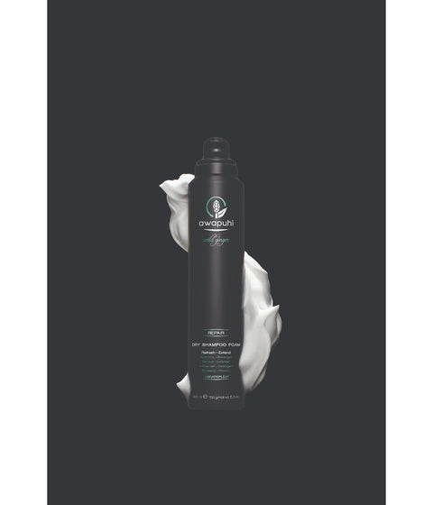 Paul Mitchell Awapuhi Wild Ginger Dry Shampoo Foam, 195mL