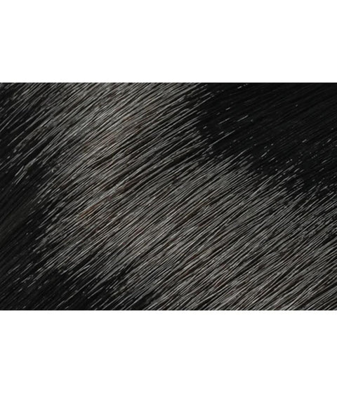 L'anza Healing Color 10 - 4NN