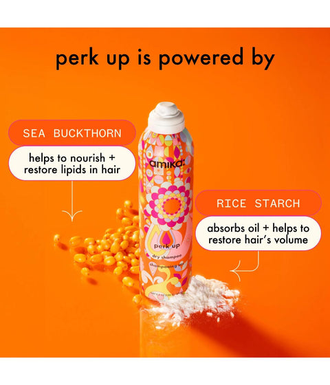 Amika Perk Up Dry Shampoo 358ml