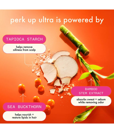 Amika Perk Up Plus Ultra Oil Control Dry Shampoo 365ml