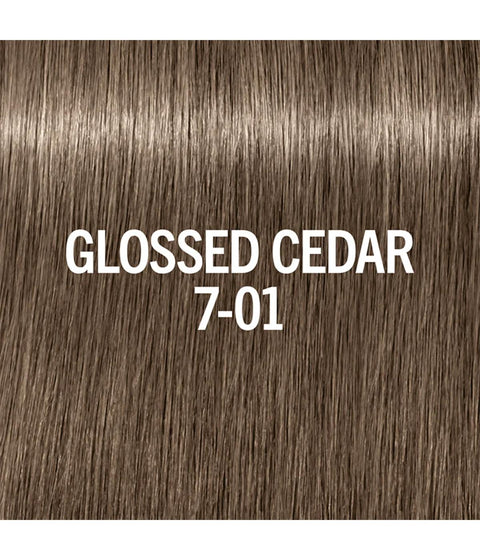 SC BM Acidic Glow Toner - Glossed Cedar