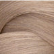 Redken Shades ALK 10N