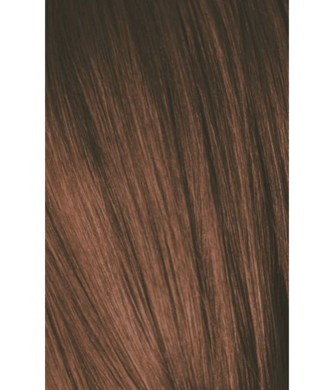 Schwarzkopf Igora Color10 6-6 DARK BLONDE CHOCOLATE, 60g