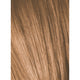 Schwarzkopf Igora Color10 8-65 LIGHT BLONDE CHOCOLATE GOLD, 60g