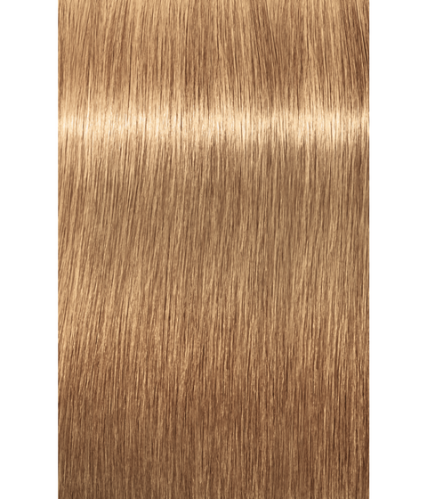 Schwarzkopf Igora Royal Absolutes 9-56 EXTRA LIGHT BLONDE GOLD CHOCOLATE, 60g