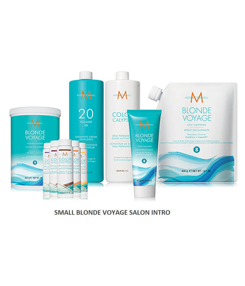 MO Blonde Voyage Salon Intro - Small